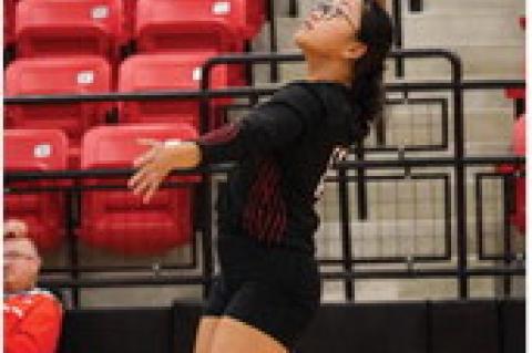 Lady Cubs fall to Plains in final pre-district game