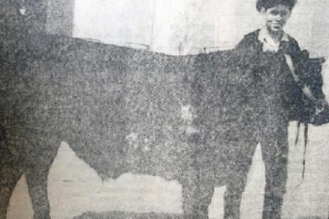 Judging Livestock - a history