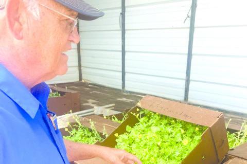 Randy Simpson Farms owns and operates T&amp;S about 10 miles south of brownfield by Highway 137 in Terry County. (Photo courtesy )