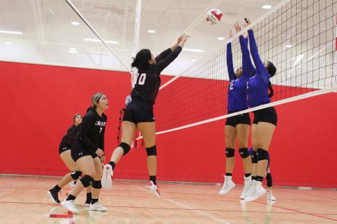 Lady Cub Volleyball:
