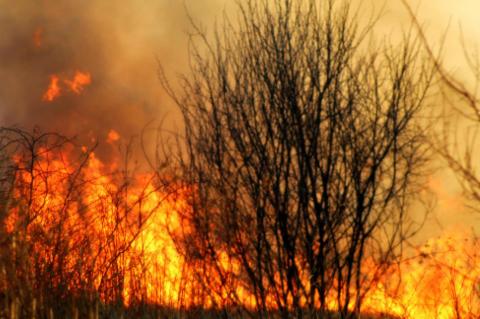 Fire Danger Ahead?