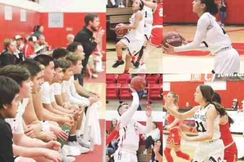 Cub teams sweep Denver City