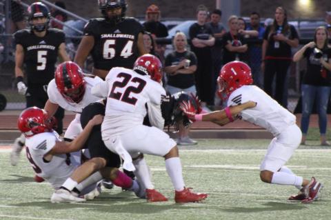 Cubs open district with a road loss