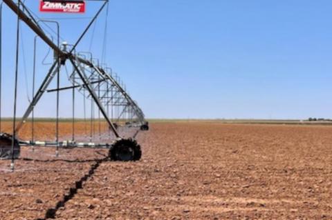 Drought Puts