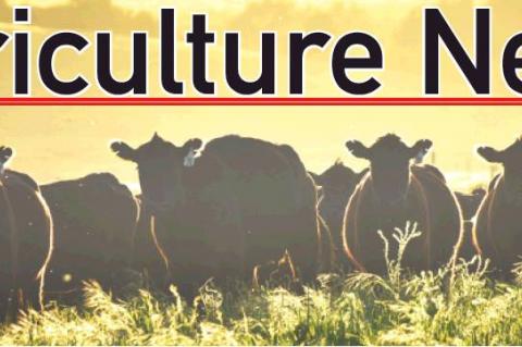 Researchers work to answer livestock production issues
