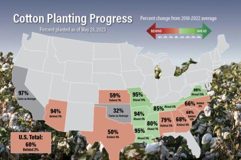 Forced to Weigh Prevent Plant Options