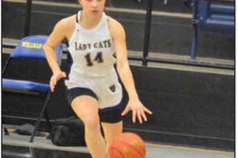 Wellman-Union falls to Klondike