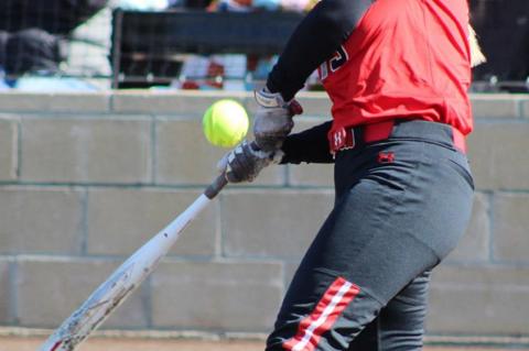 Lady Cubs fall short in bid