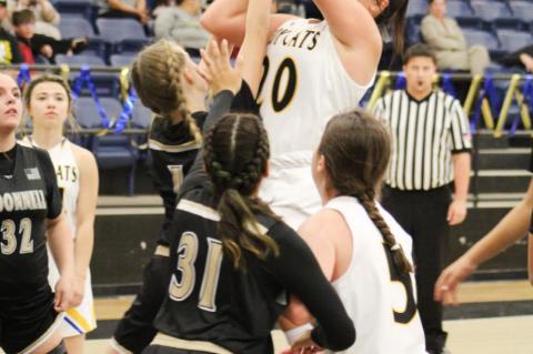 Lady Cats win at home