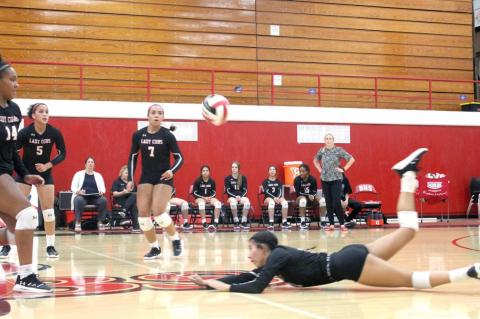 Lady Cubs volleyball earn tough win over Lady Steers