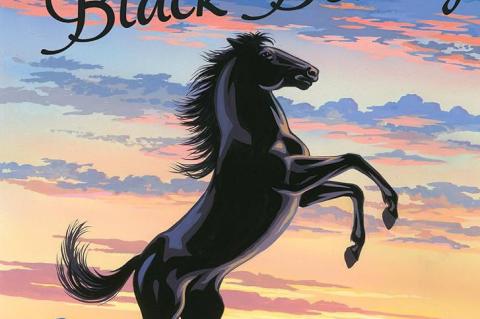 Book Review