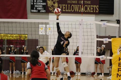 Lady Cubs earn bi-district sweep