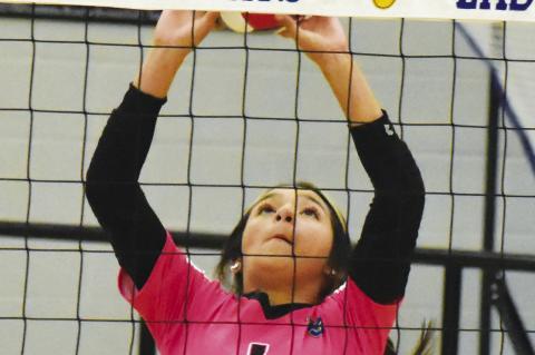 Lady Cats struggle against Klondike