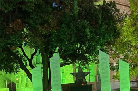 Operation Green Light