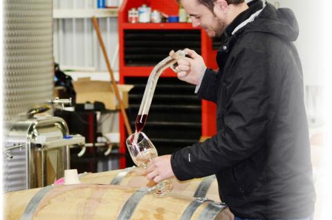 Kiva the Diva: A Winemakers Best Friend