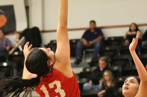 Lady Cubs season comes to an end losing to Crane 57-49