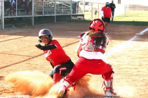 	BROWNFIELD Lady Cubs SOFTBALL