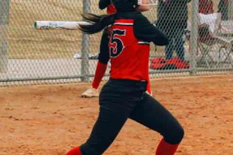 Lady Cubs Fall to Lady Bucks in Bi-District