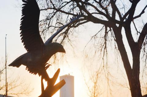 "Taking flight at dusk.