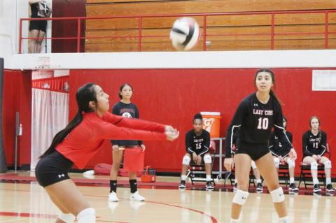 Lady Cubs volleyball