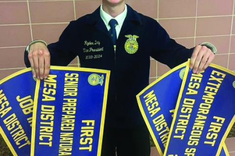Meadow FFA wins awards