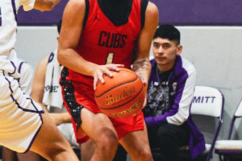 All-District Cubs Honors