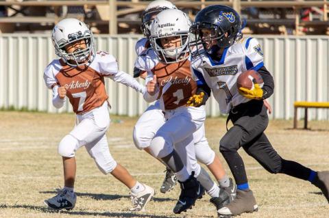 The Wellman-Union 2nd/3rd grade football team are Super Bowl Champions