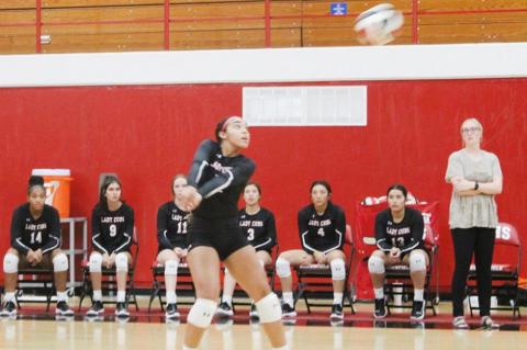 Lady Cubs volleyball