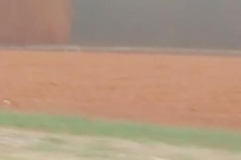 Dry Conditions Call For More Rainfall