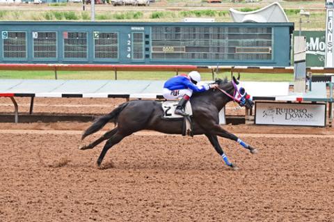 Trainer Taylor qualified top two in Maiden Stakes