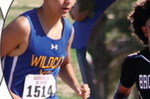 Terry County well represented at Lubbock ISD Invitational