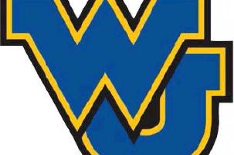 Lady Cats Struggle & Wildcats Fall