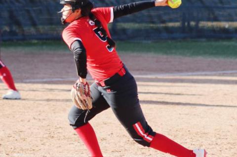 Lady Cubs split weekend doubleheader