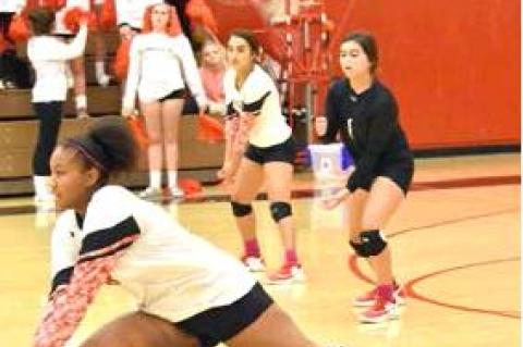 Lady Cubs drop match to Shallowater
