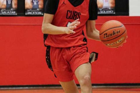 Brownfield Runnin' Cubs defeat Levelland Lobos 80-50