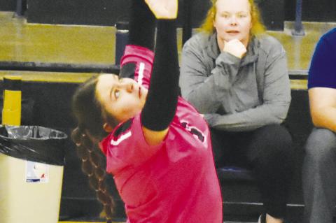 Wellman-Union volleyball defeats Rotan in final game before District