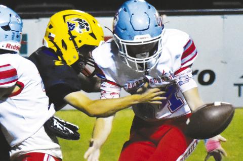Terry County Football Capsules