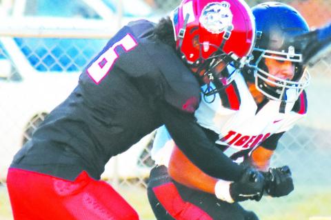 Cubs, Wildcats struggle in football games, Broncos win