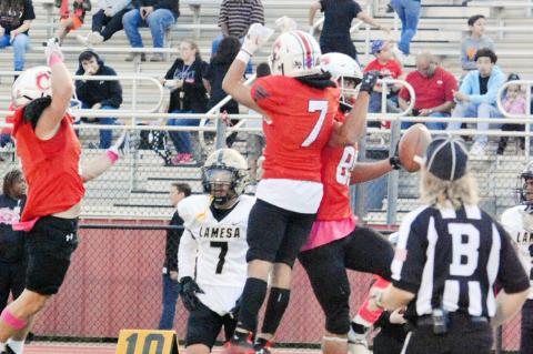 Cubs back on track after win against Lamesa