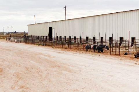 Pitching in: BISD community shows its ag spirit