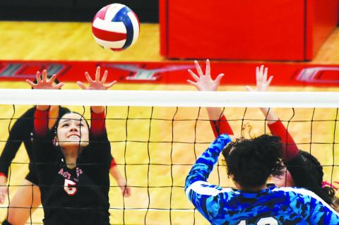 Lady Cubs volleyball drops contest to Denver City
