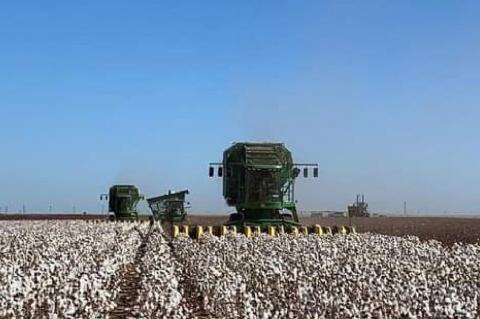 Farmers in Terry County