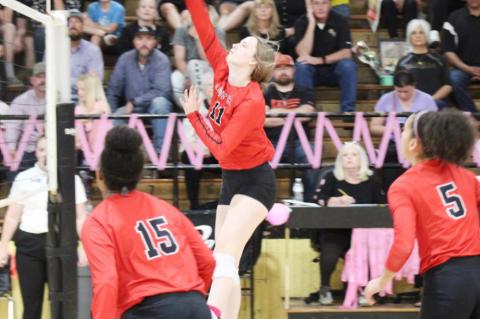 Lady Cubs clinch district title with road sweep of Lamesa