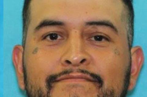 SALVADOR SAUCEDO JR