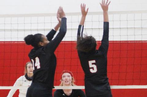 Lady Cubs dominate the night