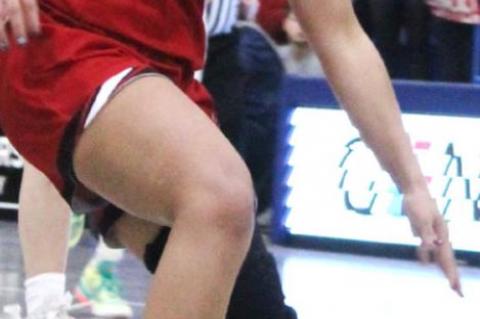 Lady Cubs title defense falls in the Area Round