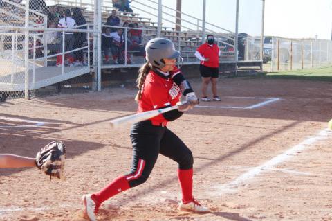 	BROWNFIELD Lady Cubs SOFTBALL