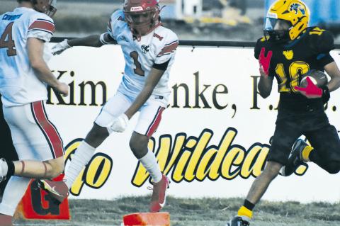 Terry County Football Capsules