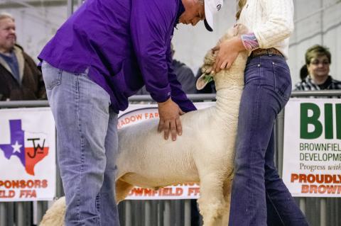 Brownfield Local Stock Show Results : Grand Champion Goat