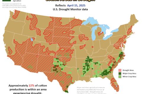 Cotton Talk